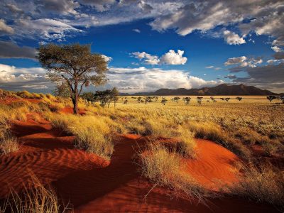 reserve-namibie.jpg.1920x0_q85